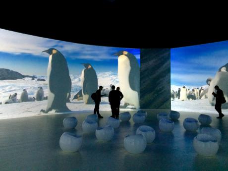 Antarctica, Musée des Confluences