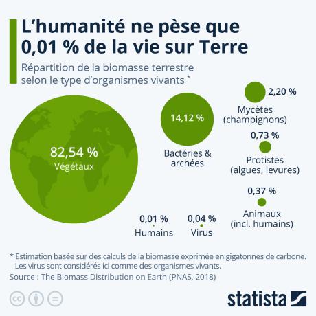 L&#039;humanité ne pèse que 0,01 % de la masse de la vie sur Terre 