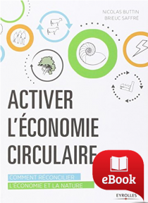 Activer l'économie circulaire : Comment réconcilier l'économie et la nature
