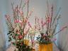 Par Nullumayulife — Japanese flower arrangement 50, Ikebana: いけばな, 